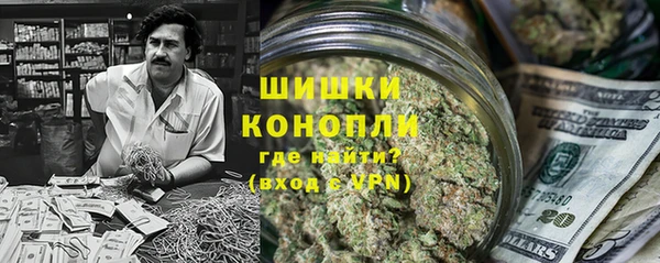 ПСИЛОЦИБИНОВЫЕ ГРИБЫ Алексин