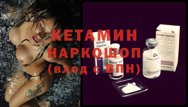 стафф Алзамай