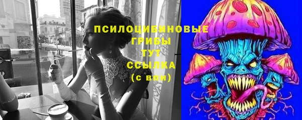 стафф Алзамай